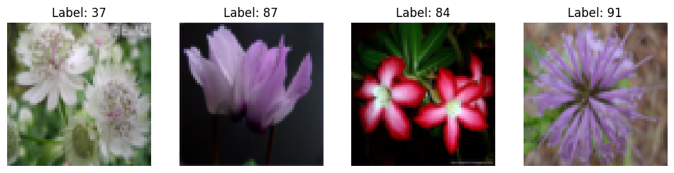 Flower 102 dataset